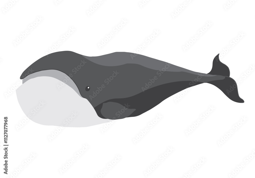 Obraz premium Cute Cartoon North Atlantic Whale. Arctic, Polar sea animal. Creature image icon. Vector Illustration.