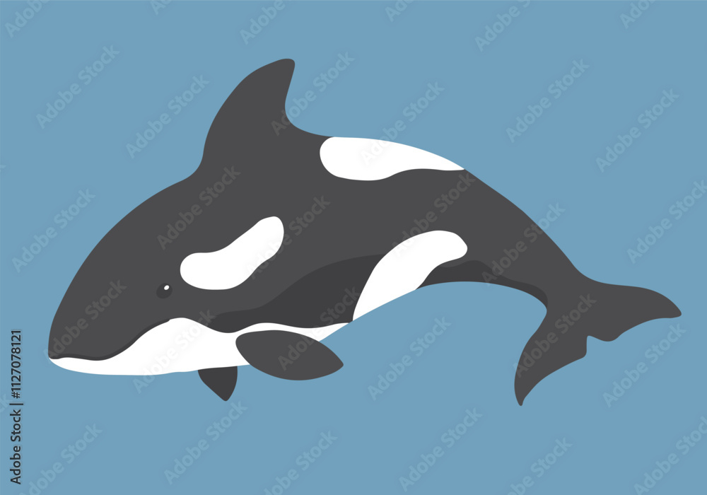 Naklejka premium Cute Cartoon Killer Whale. Arctic, Polar sea animal. Orca image icon. Vector Illustration.