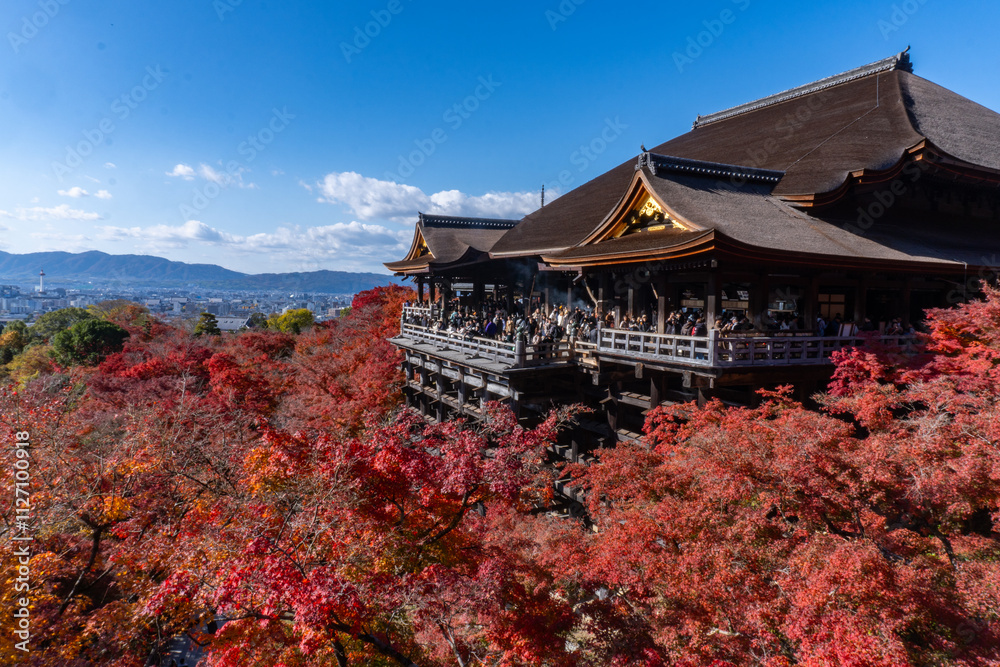 Naklejka premium 清水寺・京都・紅葉