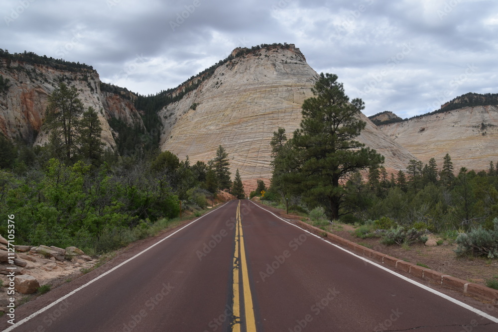 Fototapeta premium The road going through Zion National Park's canyon
