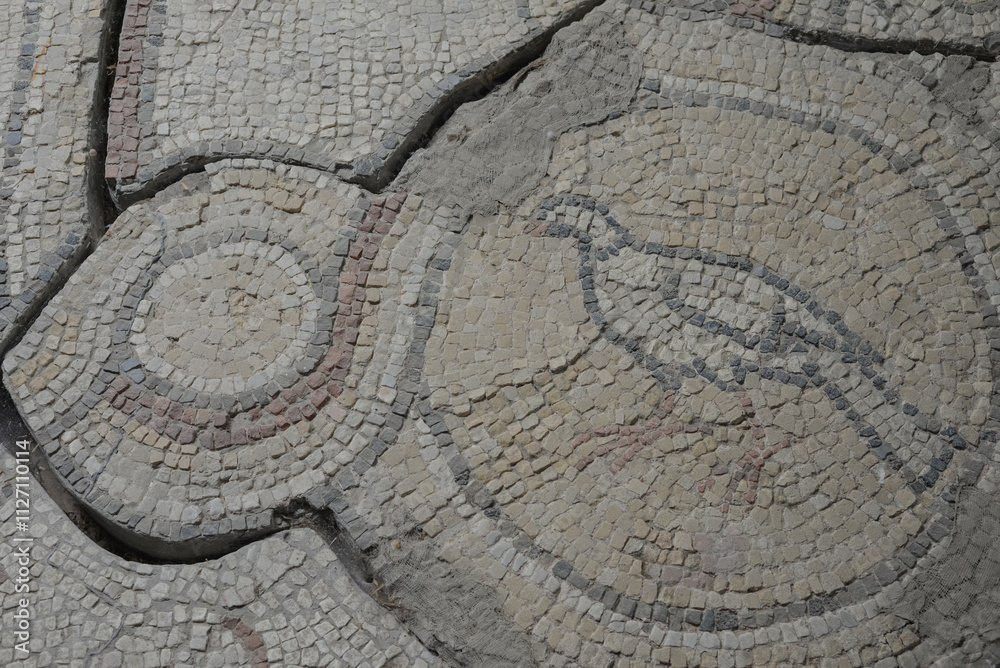 Floor mosaics from Byzantine times VI AD. They depicting walking birds, geometric ornaments and stylized fruits. Authors are unknown