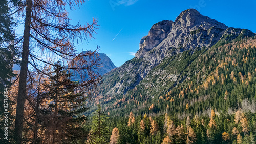 A picturesque view of the Dolomites in autumn, showcasing vibrant foliage ideal for nature retreat and relaxation themes photo