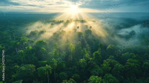 Fototapeta Naklejka Na Ścianę i Meble -  Rainforest aerial perspective showcasing thick jungle canopies with sunlight breaking through
