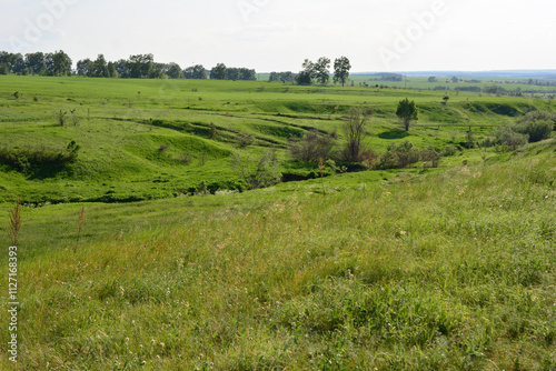 a field with a few hills and a few trees in the background