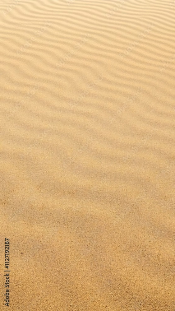 Rippled sand texture, desert landscape. Rippled sand texture, desert landscape.