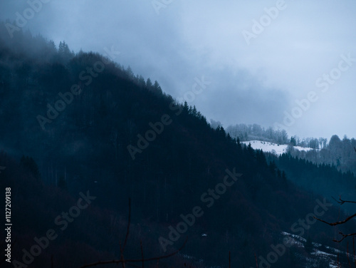 Village in Transcarpathia region scenic Carpathian mountains. Contrasting white clouds dark green pine trees scenic view