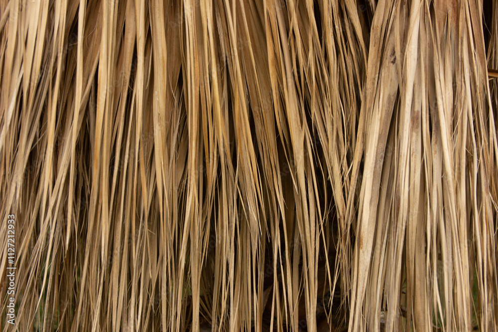 Dry palm leaves. Natural background Dry palm leaves. Natural background