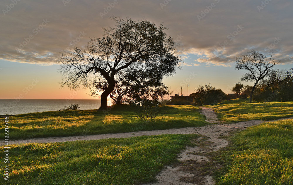 Fototapeta premium Seashore, low sun, trees, shadows.