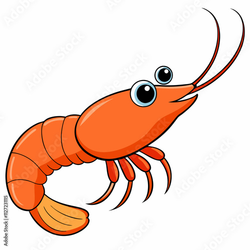 illustration of shrimp