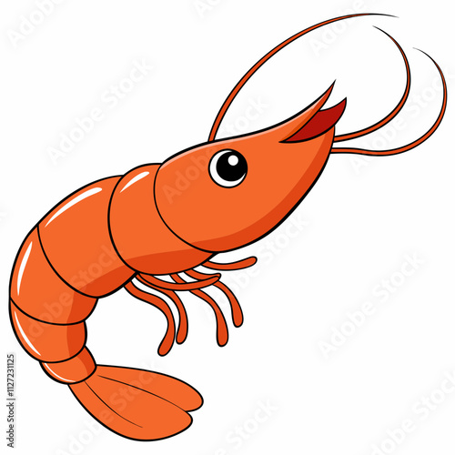 illustration of shrimp
