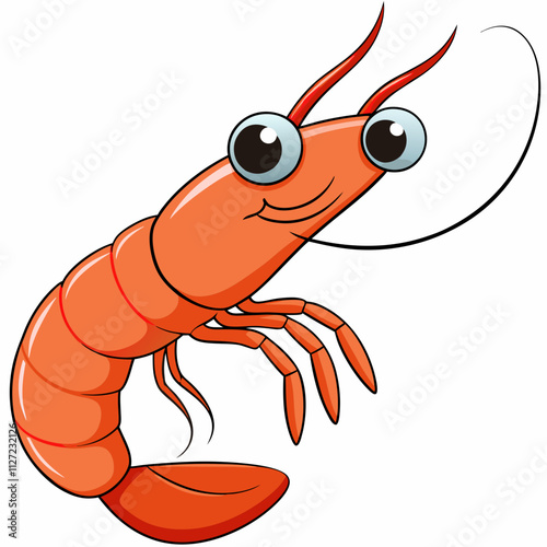 shrimp illustration