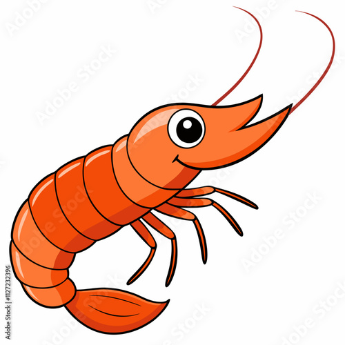 illustration of shrimp
