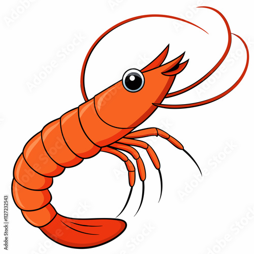 illustration of shrimp