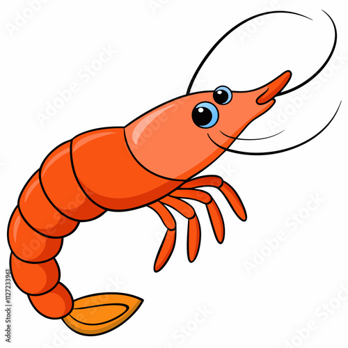 illustration of shrimp