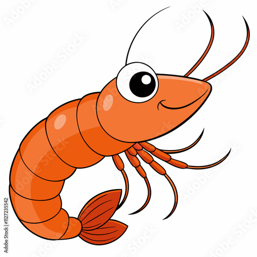 illustration of shrimp