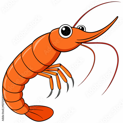 shrimp illustration