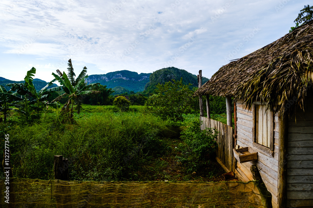 Cuban hut in the Vinales Valley, with tobacco plantations in the background Cuban hut in the Vinales Valley, with tobacco plantations in the background