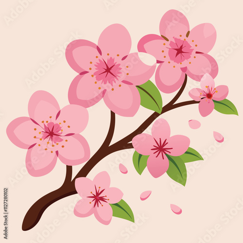 Beautiful sakura flowers isolated on white