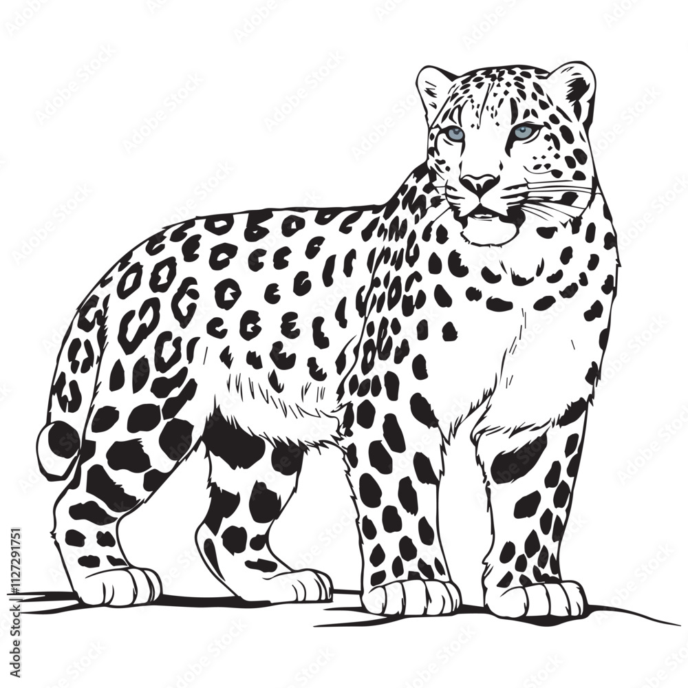 Creative black and white animal vector Creative black and white animal vector