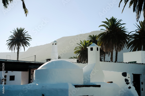 White houses on the seashore among palm trees and cacti. photo