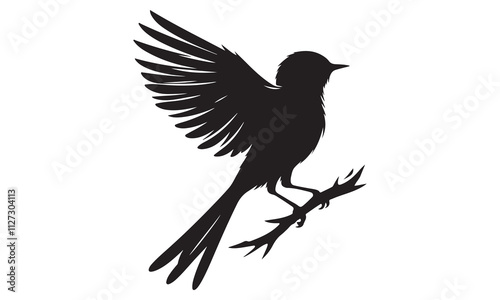 Black crow silhouette on a branch, a classic vector illustration of a wild bird photo