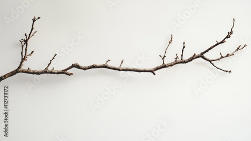 Elegant bare branch against a minimalist white background ideal for nature-themed designs or organic decor concepts. photo