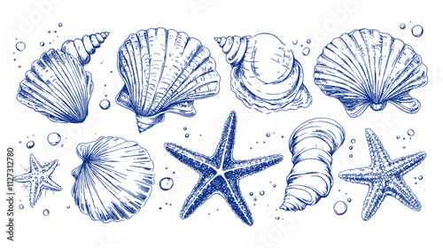 Minimalist seashells png illustration collection. Art for greeting cards, wedding invitations, poster design, postcards, branding, logo design, transparent background