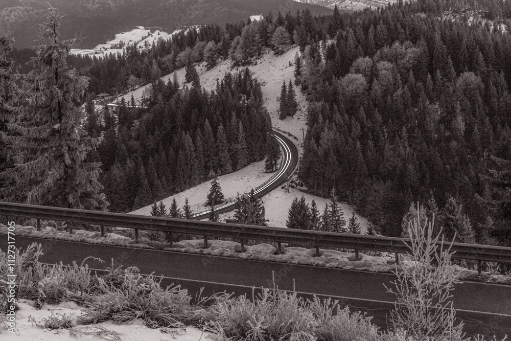 Fototapeta premium Landscapes - Forest - Europe, Romania, Suceava region