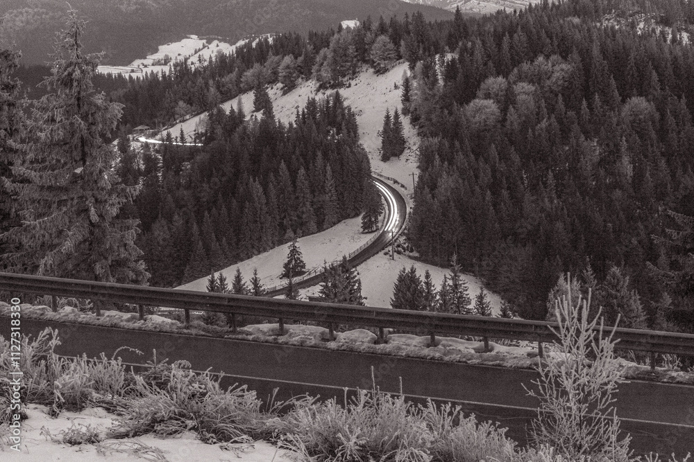 Obraz premium Landscapes - Forest - Europe, Romania, Suceava region 