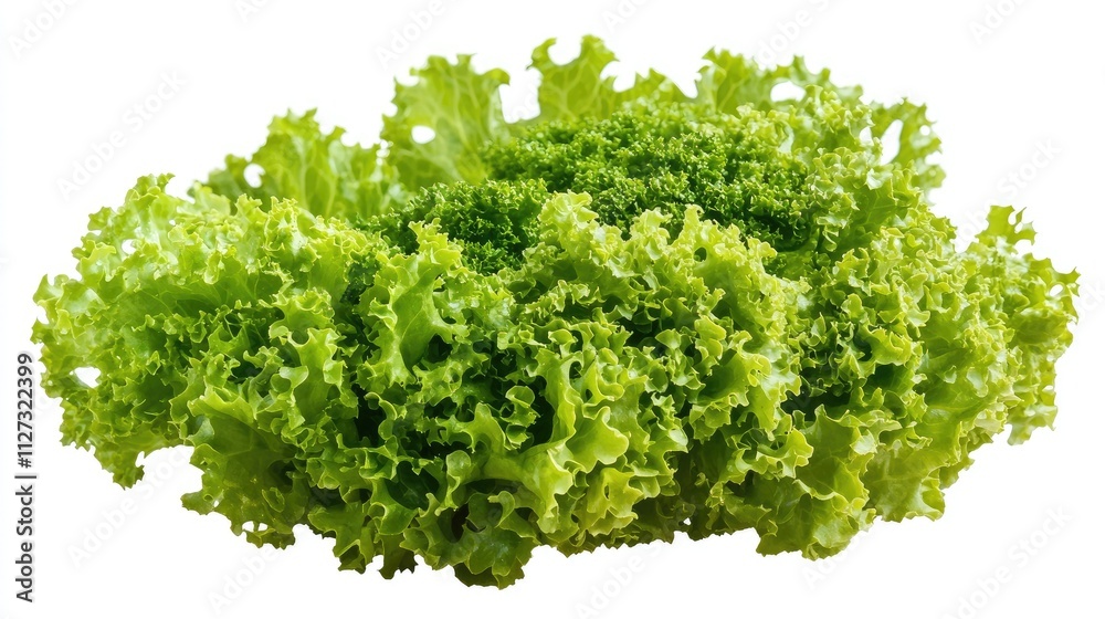 Obraz premium Fresh Green Lettuce Close-Up on White Background Ideal for Healthy Eating or Salad Related Themes