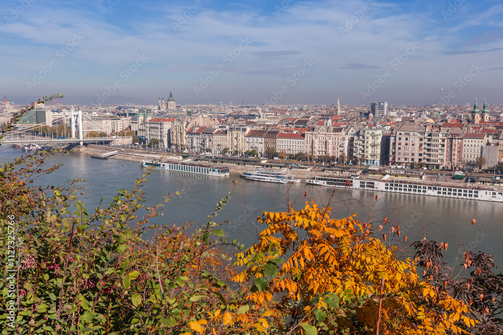 Obraz premium Budapest left bank from Gellert Hill above tree branches, Hungary