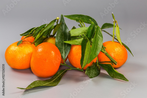 Clementines on small twigs with leaves on gray background