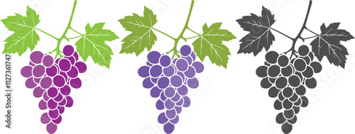 A bunch of grapes fruit with leaves color silhouette vector illustration.
