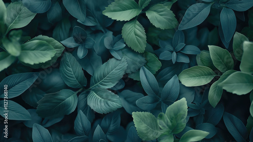 Wallpaper Mural Beautiful Natural Background with Plants. Botanical Wallpaper. Torontodigital.ca