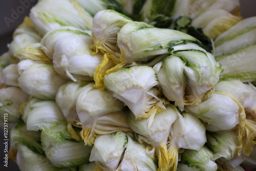 Napa cabbage salted for Korean kimjang