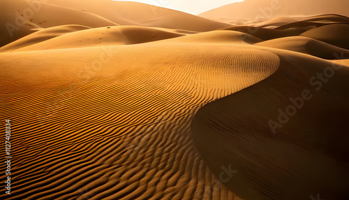 landscape dunes in the desert,  sky 