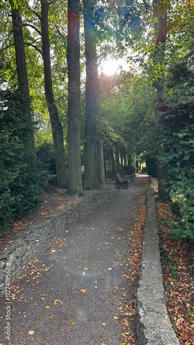 A peaceful park lane framed by tall trees and a stone wall. The golden sunlight filters through the leaves, highlighting the fallen autumn foliage and creating a tranquil atmosphere photo