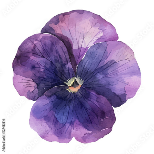 A watercolor vector of a violet flower, isolated on a white background. Violet flower vector.