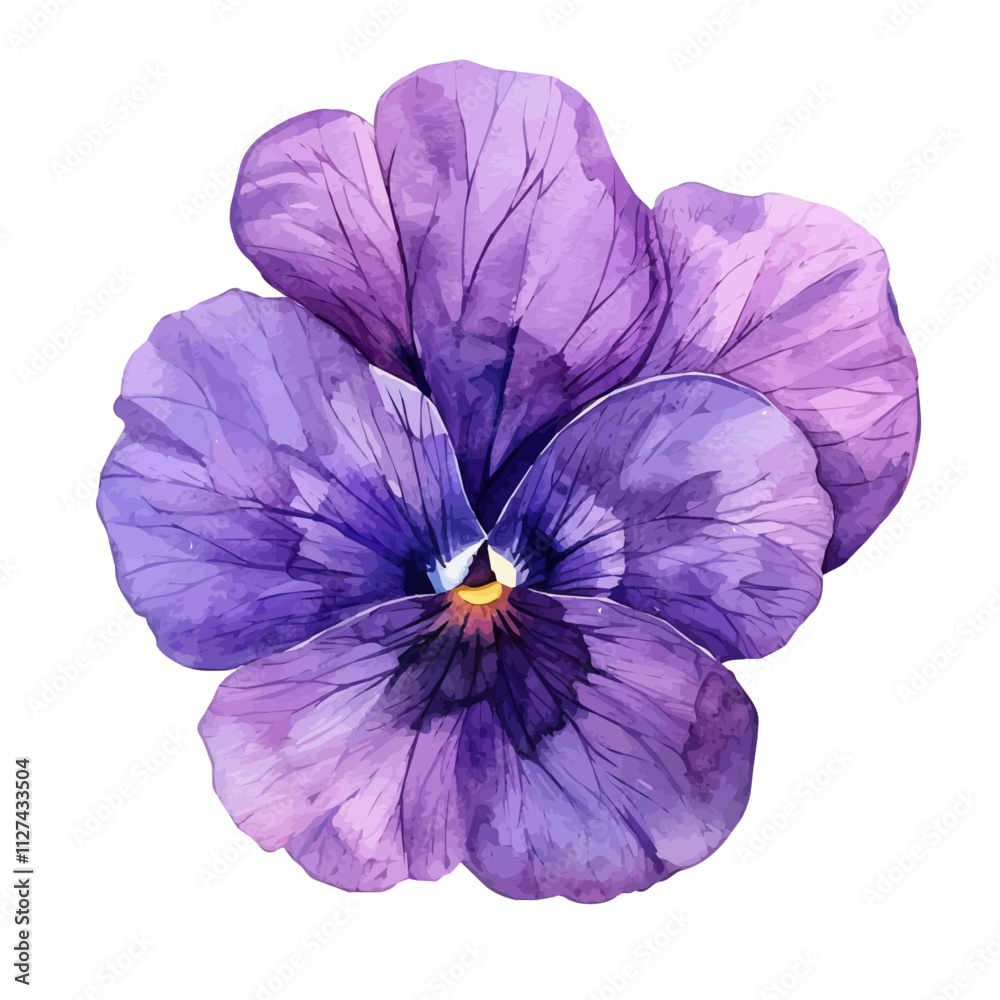 A watercolor drawing of a violet flower, isolated on a white background. Violet flower vector. A watercolor drawing of a violet flower, isolated on a white background. Violet flower vector.