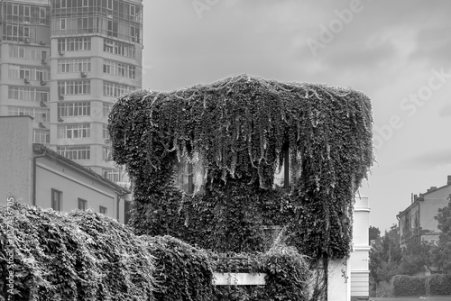 Ivy-Covered Building in an Urban Landscape