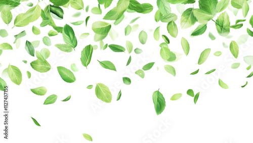 Green leaves falling in the air during daytime