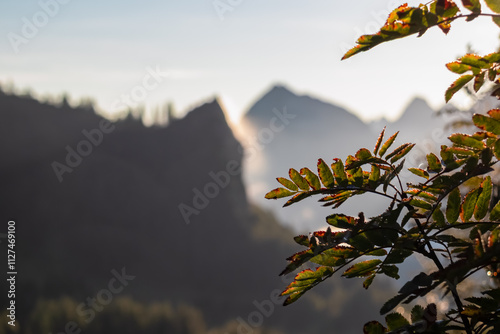 Close-up of rowan tree branch looking at majestic mountain peaks of Karawanks shrouded in morningmist seen from Loibl Pass on border Slovenia Austria. Alpine landscape bathed in soft light of dawn photo