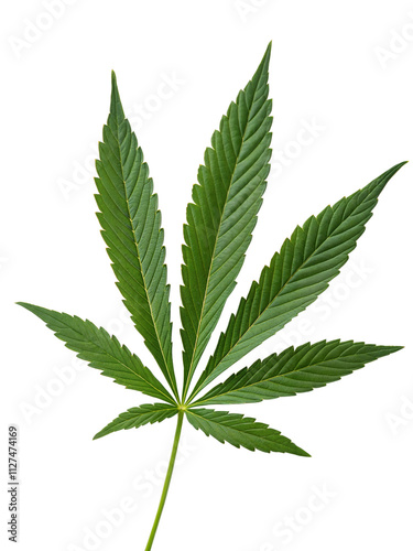 Cannabis leaf displayed on a plain background showcasing its vibrant green color and distinct serrated edges. Generative AI