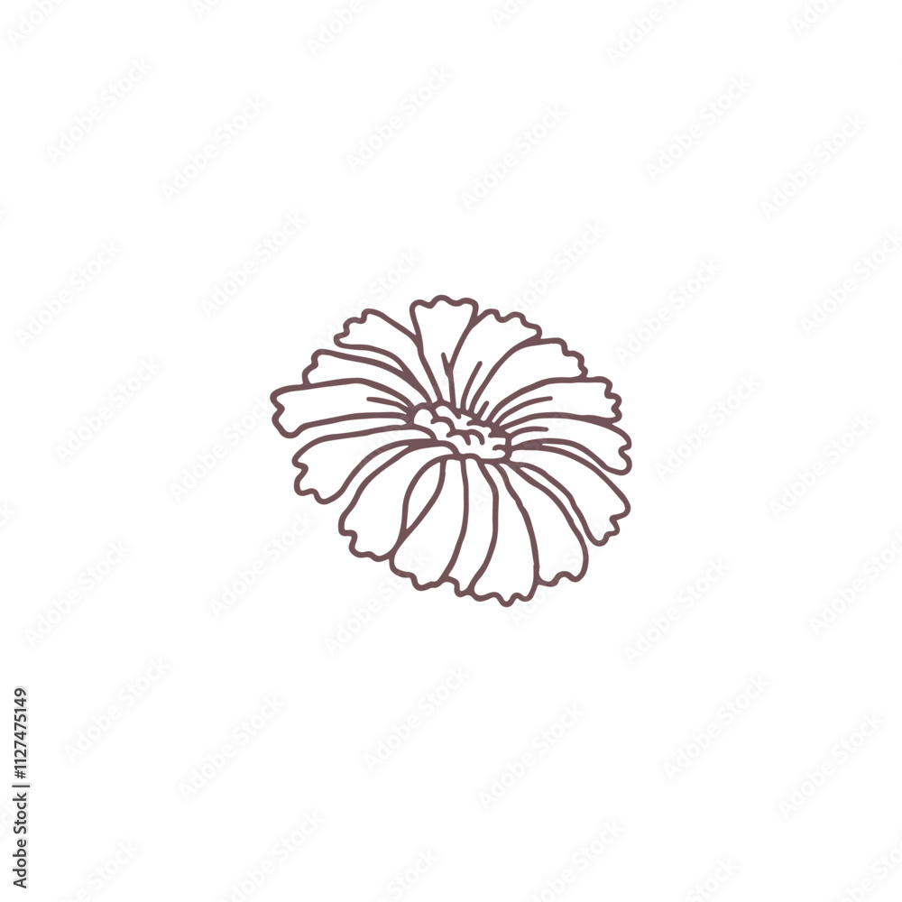 Pink daisy flower brown contour hand drawn icon, blossom beautiful plant, floral design element vector nature decoration Pink daisy flower brown contour hand drawn icon, blossom beautiful plant, floral design element vector nature decoration