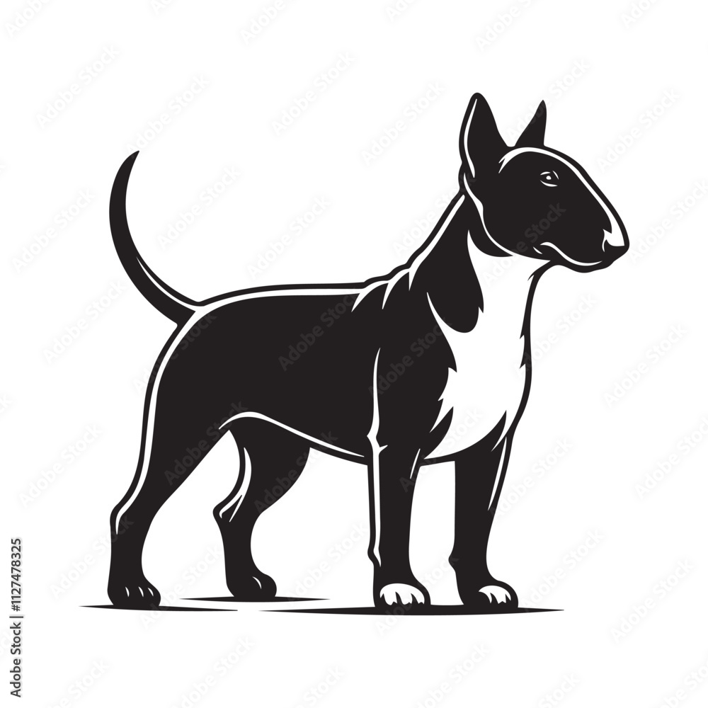 Bull Terrier standing silhouette vectors, High-Quality Vector Black Silhouettes of Bull Terrier Dog in Standing, Side Profile, and Front Profile Positions - Perfect for Graphic Design and projects Bull Terrier standing silhouette vectors, High-Quality Vector Black Silhouettes of Bull Terrier Dog in Standing, Side Profile, and Front Profile Positions - Perfect for Graphic Design and projects