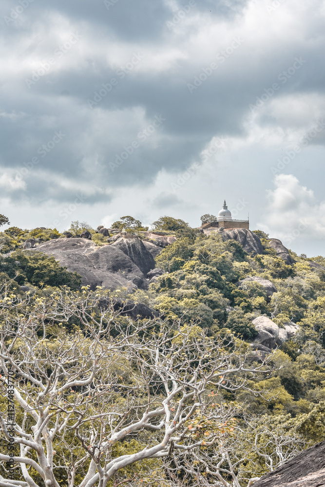 Fototapeta premium Sithulpawwa Rajamaha Viharaya, Yala National Park, Hambantota, Sri Lanka.
