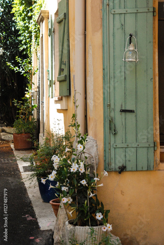 Flowers next to a building