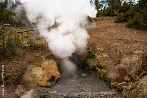 Canvas Print The Dragon's Mouth fumarole at Mud Volcano, Yellowstone National Park