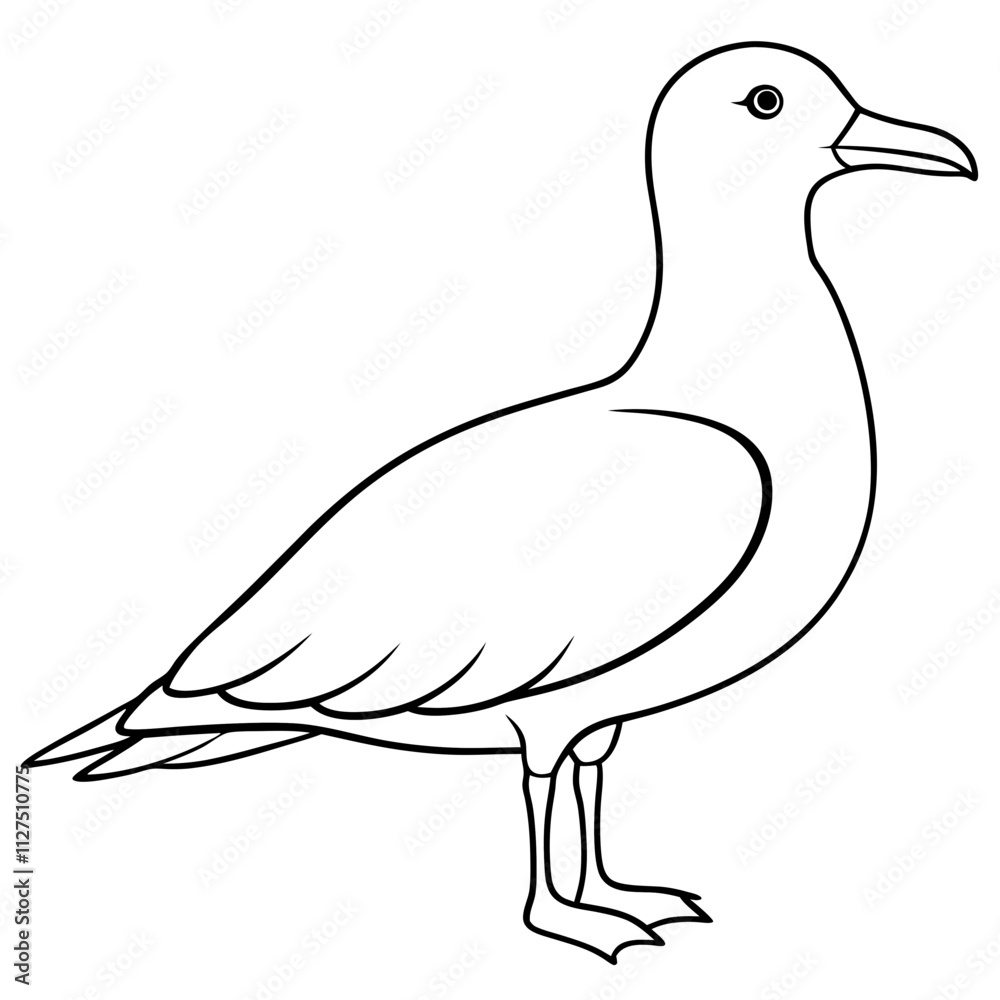 illustration of a bird