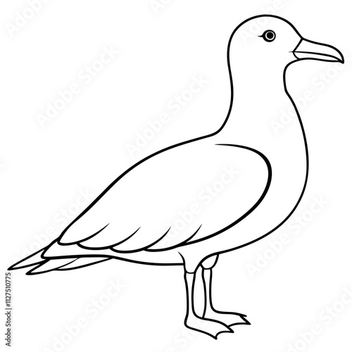 illustration of a bird